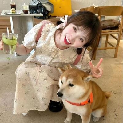 苦菜花